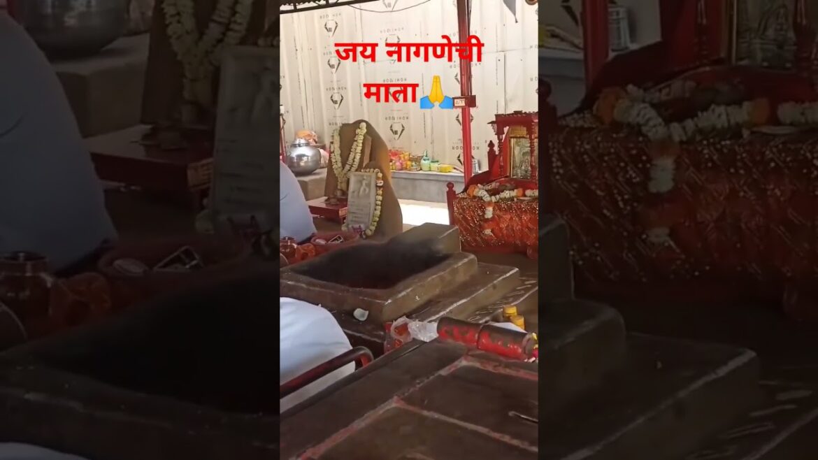 नागणेची माता #short