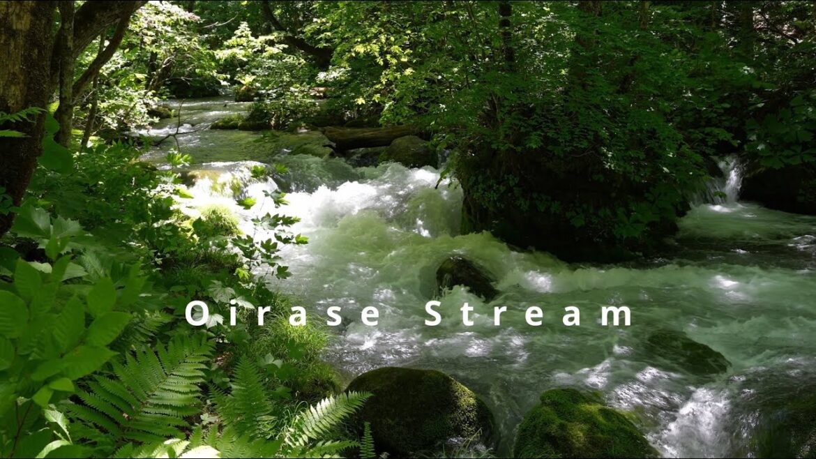 Scenes from Aomori, Japan