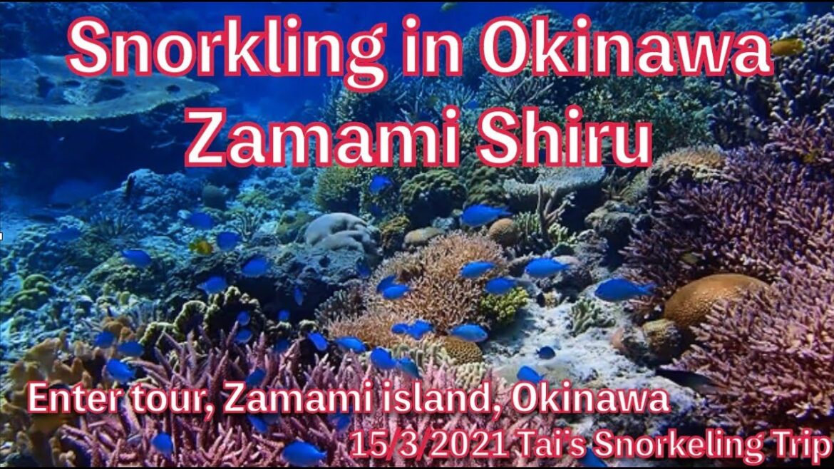 【#29 Tai’s Snorkeling Trip in Okinawa】 Zamami Shiru, Zamami island, Kerama islands, Okinawa, Japan