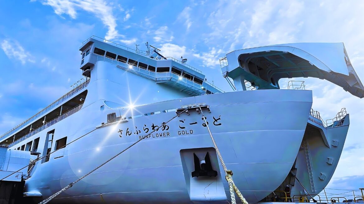 Japan's $85 Overnight Capsule Ferry ⚓ 11.5 Hours from BEPPU to KOBE