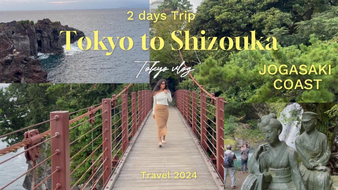 ShizuokaTrip from Tokyo : Jogasaki Coast, Shirahama Beach & some Hidden Gems
