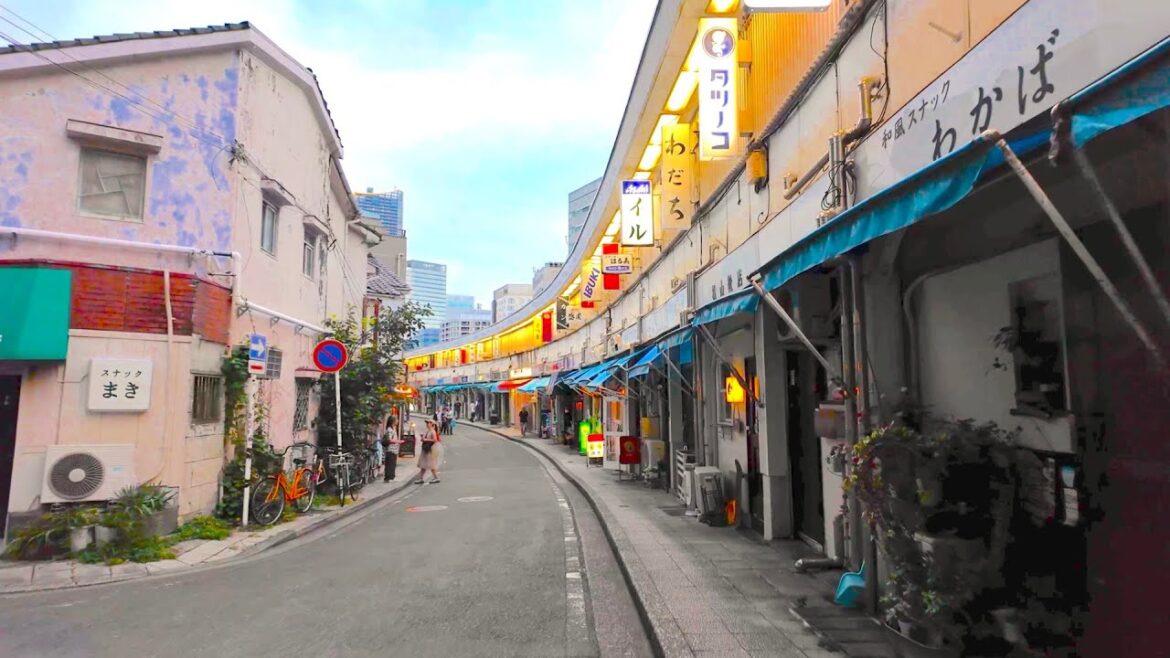 Walking the backstreets of Yokohama. From Nogeyama Park to the downtown area to the harbor【4K Japan】 Walking the backstreets of Yokohama. From Nogeyama Park to the downtown area to the harbor【4K Japan】