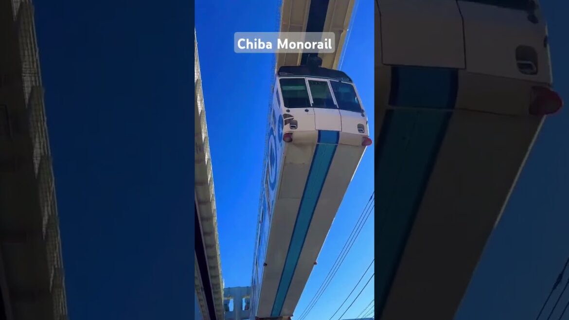 Elevated Exploration in Chiba #Japan #explore #travel