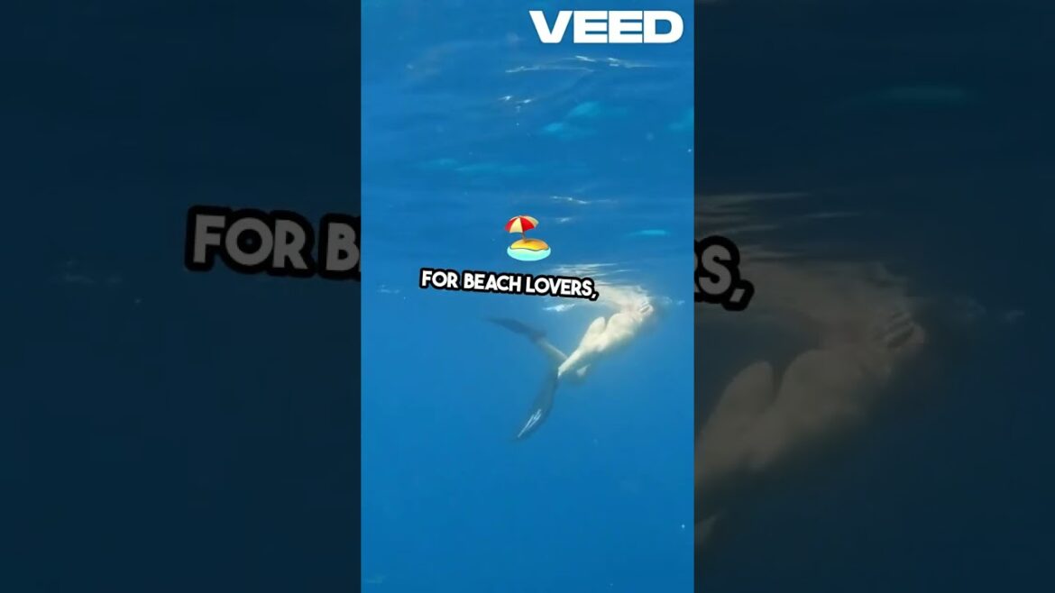 Top November Vacation Spots Revealed! Top November Vacation Spots Revealed!