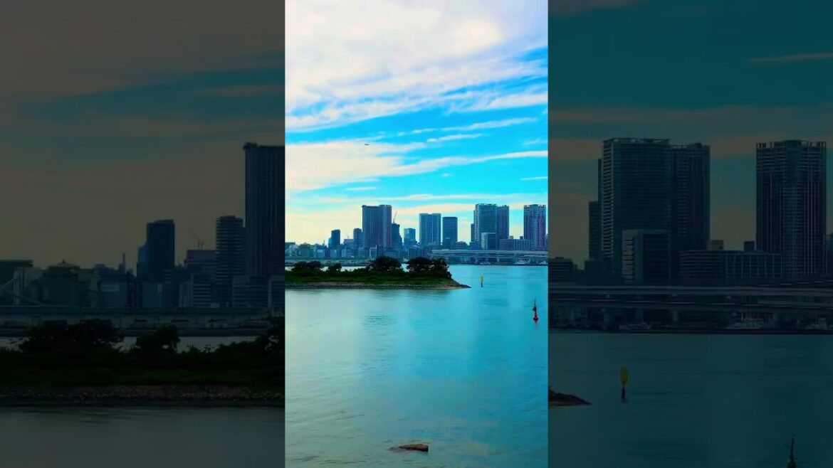 Rainbow Bridge ❤️#odaiba #japan #japaneselandmark #travel #mountfuji #cruiseship 🤩