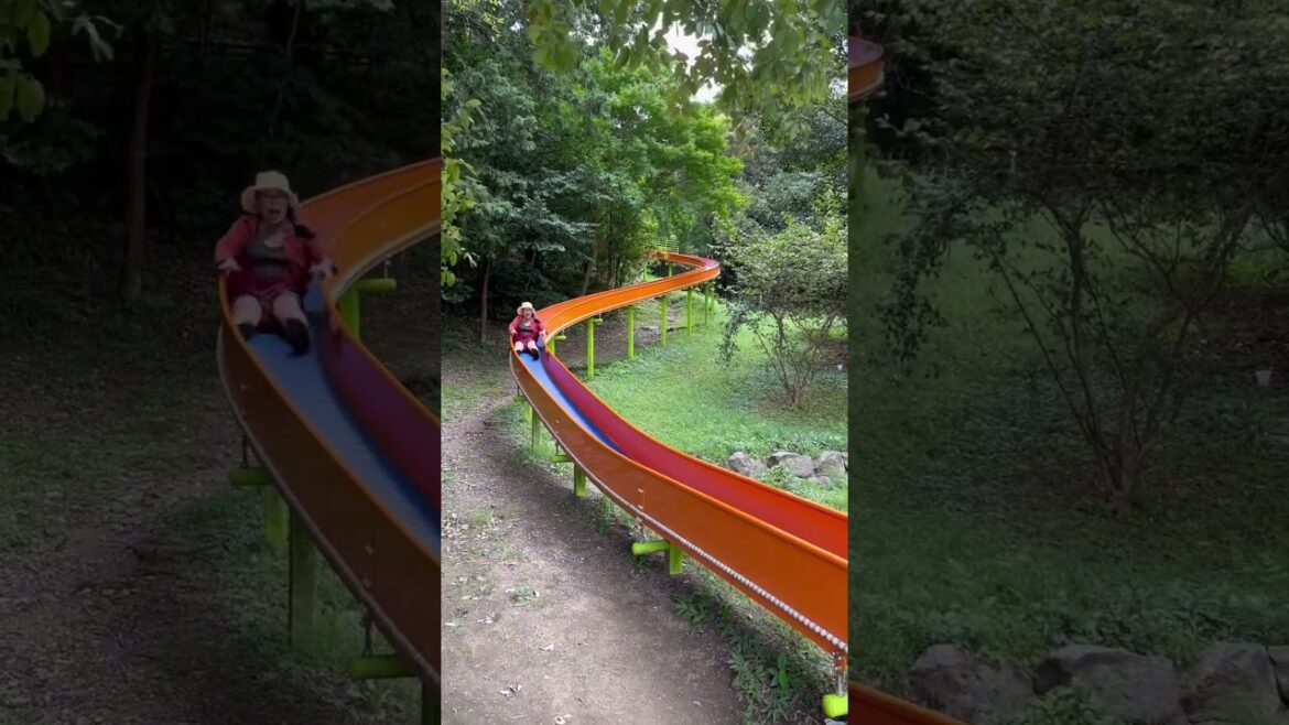 Fun park in Japan
