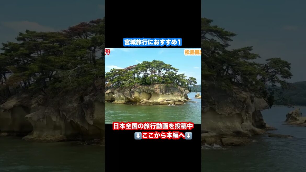 【松島観光】宮城旅行のおすすめ #松島観光 #仙台旅行