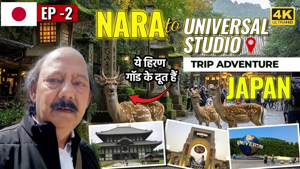 Ultimate Guide to Nara & Universal Studios from Osaka Station (Japan) Ultimate Guide to Nara & Universal Studios from Osaka Station (Japan)