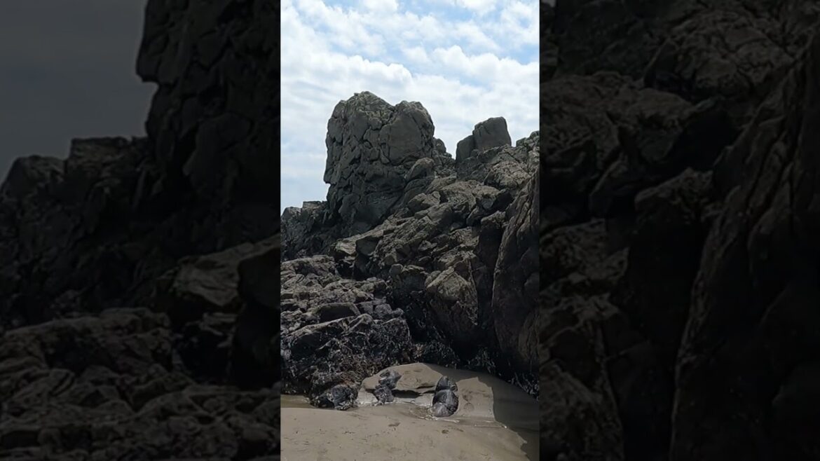 Dog Rock #traveljapan #nature #chiba Dog Rock #traveljapan #nature #chiba