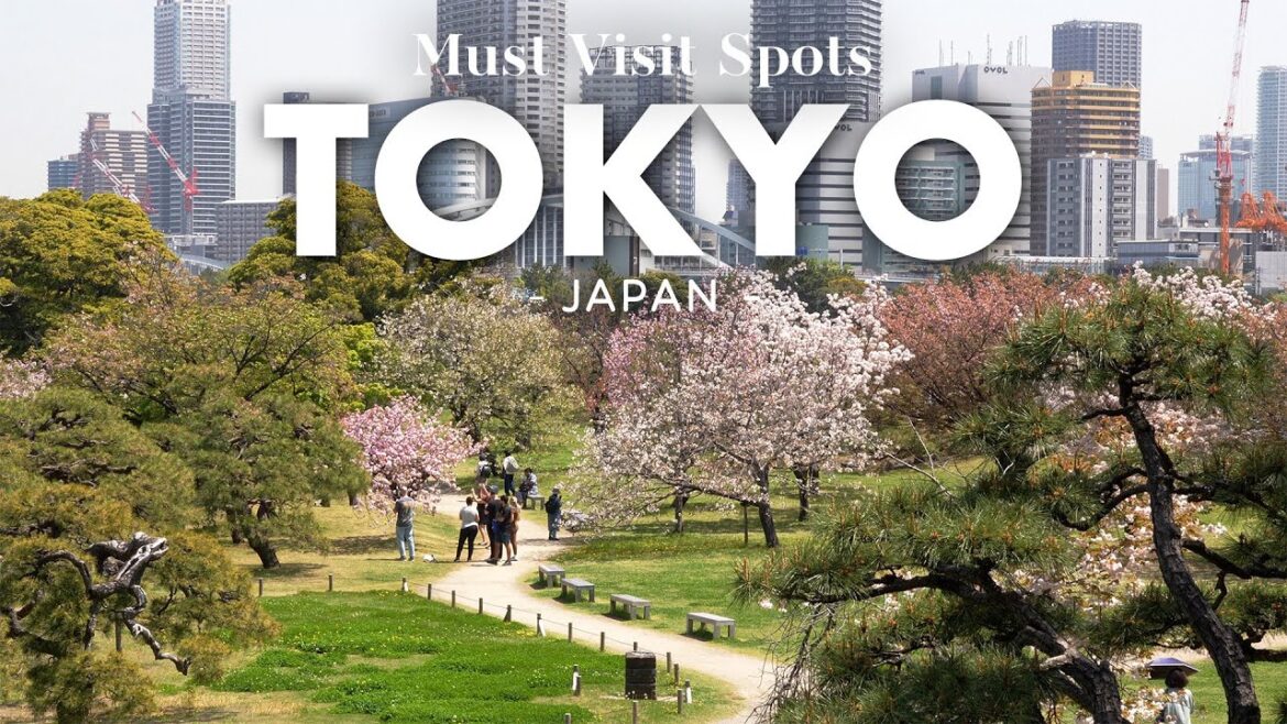 TOP 18 BEST THINGS TO DO IN TOKYO  | Japan Ultimate Guide 2024
