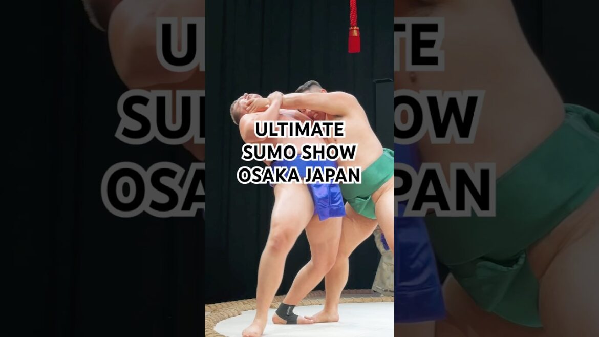 Fun Things To Do In Osaka Japan – Sumo Wrestling Experience 🤼 🇯🇵#shorts #osaka #sumo Fun Things To Do In Osaka Japan - Sumo Wrestling Experience 🤼 🇯🇵#shorts #osaka #sumo