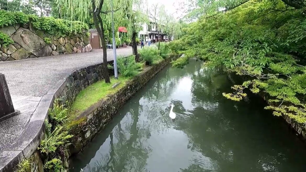 Kurashiki Canal in Okayama - Day 8 - Japan
