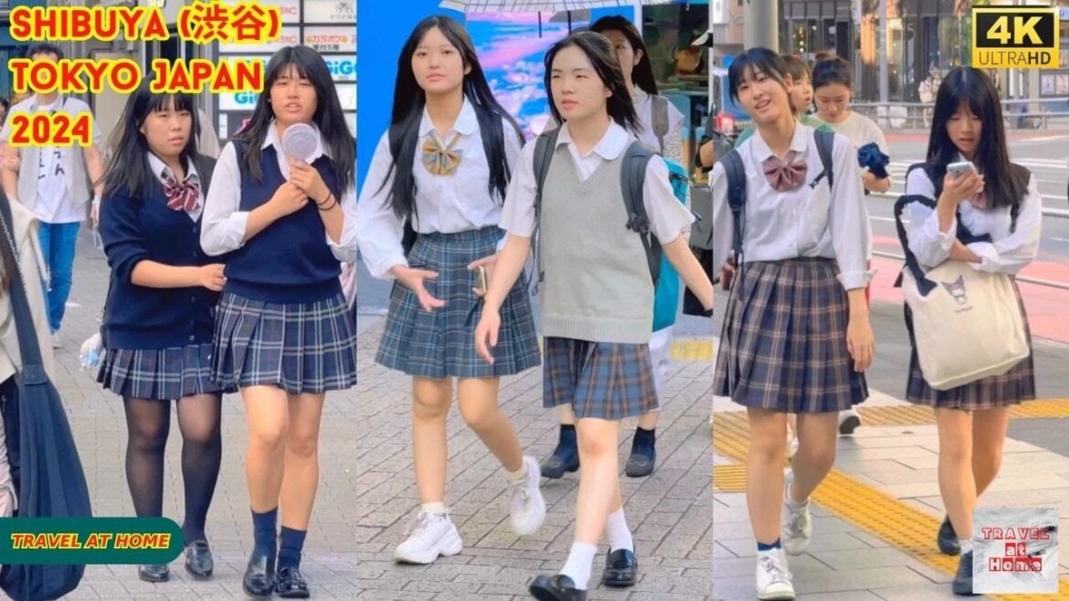 4k hdr Japan travel 2024 | Walk in Shibuya (渋谷) Tokyo Japan |  Relaxing Natural City ambience