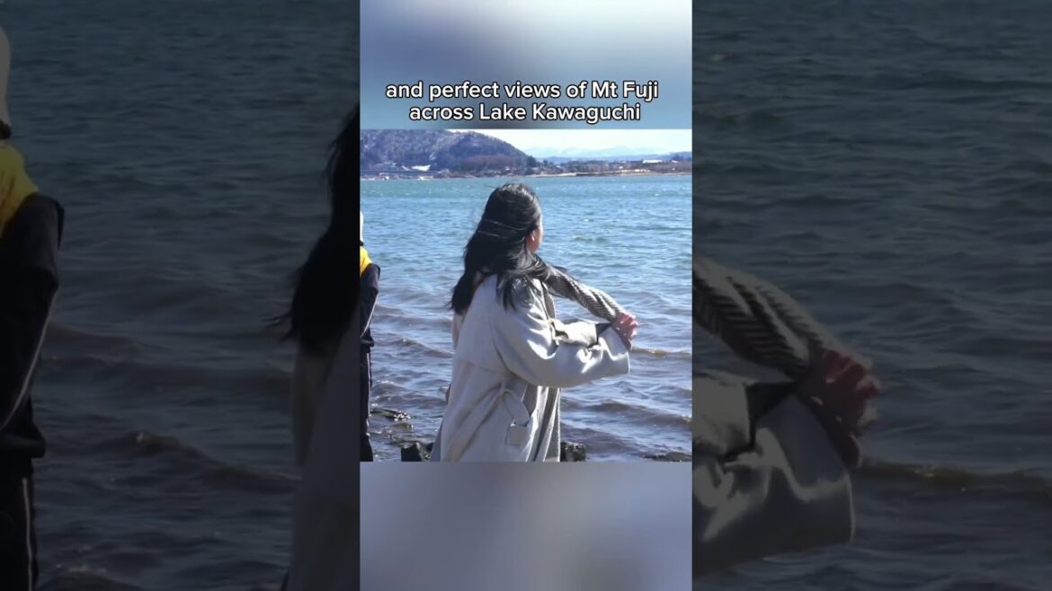 We’re going on a day tour to Mt Fuji to see Lake Kawaguchi and Arakurayama Shengen Shrine