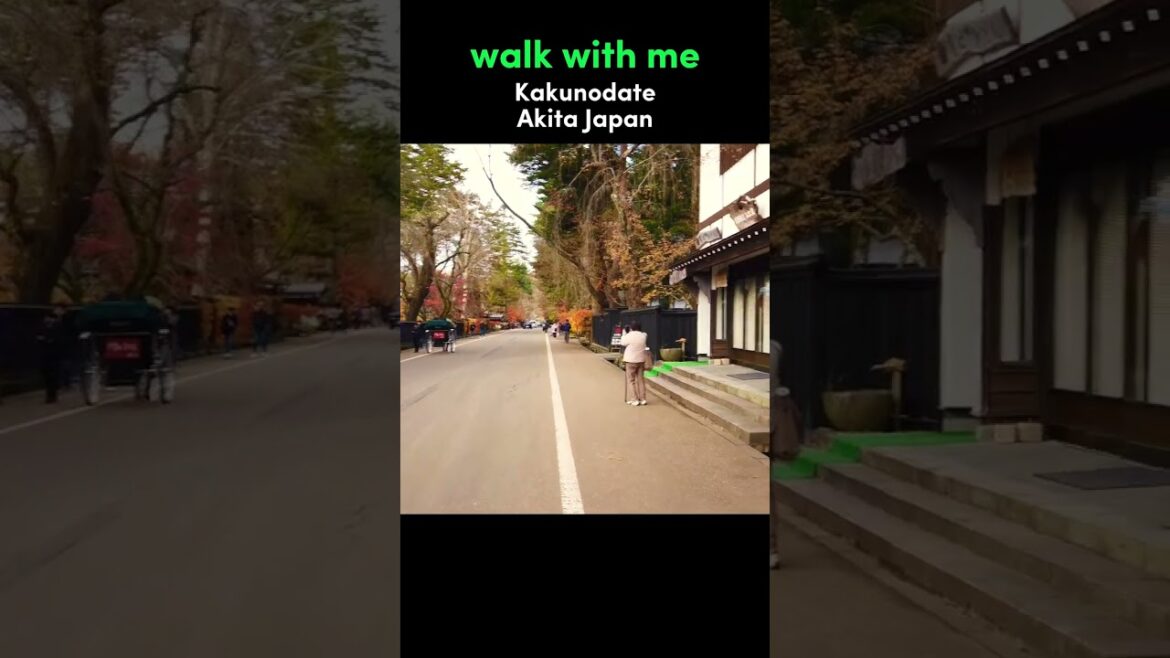 Walk With Me in Kakunodate | Akita Japan Walking Tour