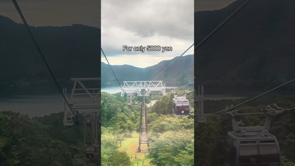 Explore Hakone in JUST 1 Day with Hakone Free Pass!