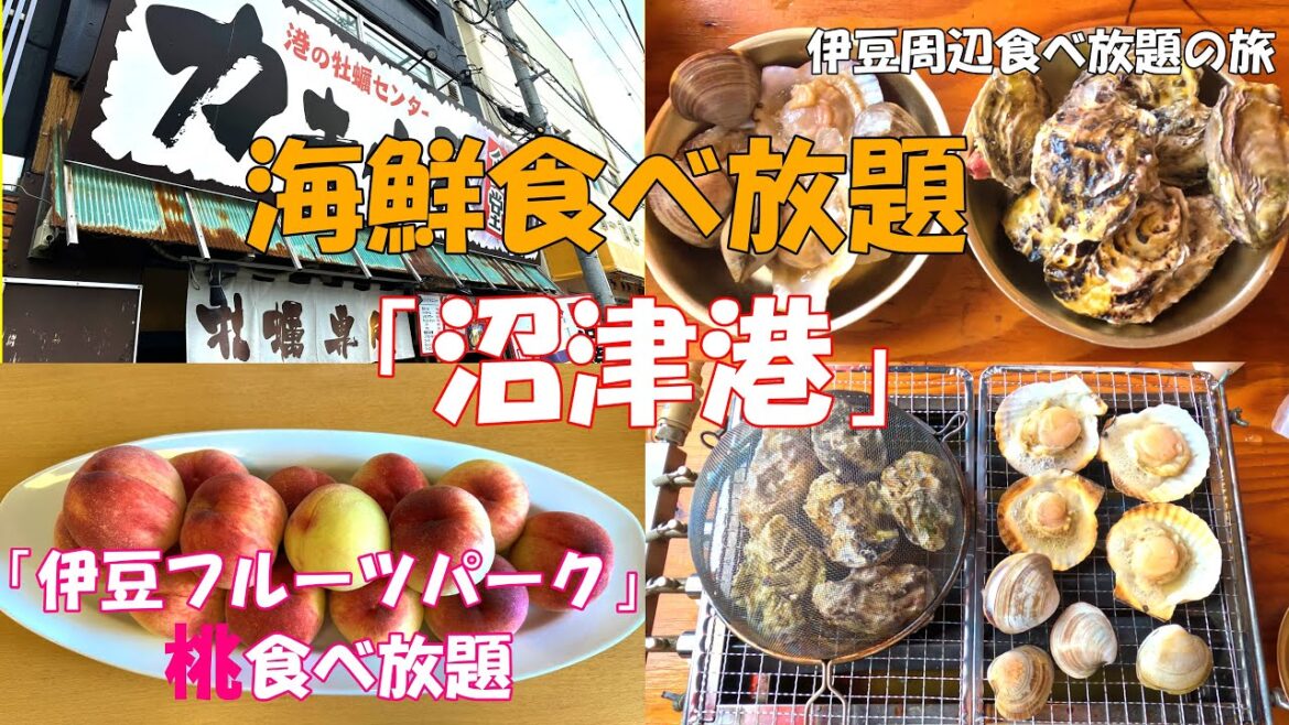 【伊豆周辺食べ放題の旅】沼津港での海鮮食べ放題を中心に、伊豆フルーツパークでの桃狩り・桃食べ放題を紹介します！ | 伊豆観光