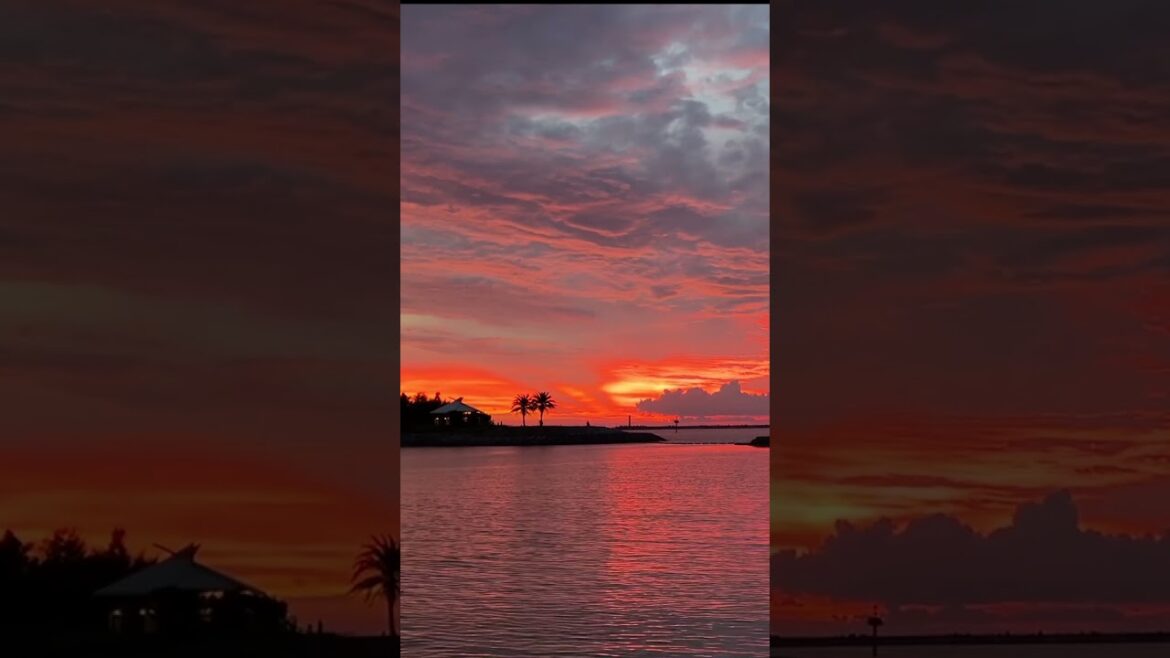 Sunsets in Japan   #sunset #sunsetview #japan