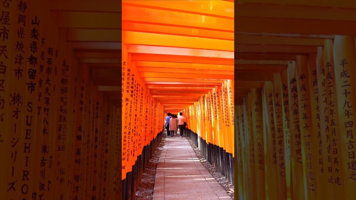 Places On Earth That Don’t Feel Real(pt.11)in China,Japan,Vietnam π±π #travel #shorts#trending #fyp Places On Earth That Don't Feel Real(pt.11)in China,Japan,Vietnam π±π #travel #shorts#trending #fyp