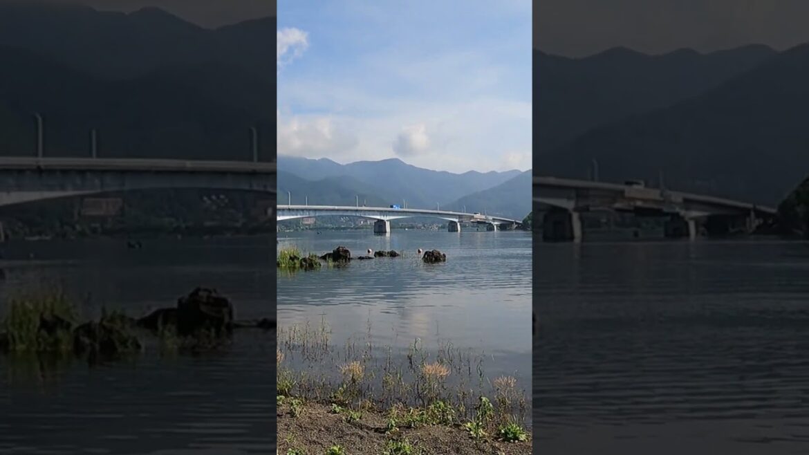 Walking in the nature 4 #traveljapan #nature #lake