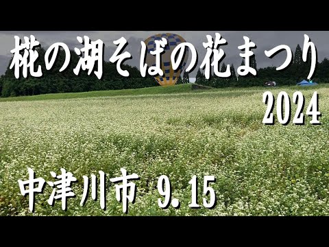 「椛の湖そばの花まつり」2024♪中津川市坂下、椛の湖自然公園にて、2024.9.15撮影。そばの花が満開♪今年は暑い夏のため開花が早めとのこと。気球も上がっています。近くには椛の湖オートキャンプ場も 「椛の湖そばの花まつり」2024♪中津川市坂下、椛の湖自然公園にて、2024.9.15撮影。そばの花が満開♪今年は暑い夏のため開花が早めとのこと。気球も上がっています。近くには椛の湖オートキャンプ場も