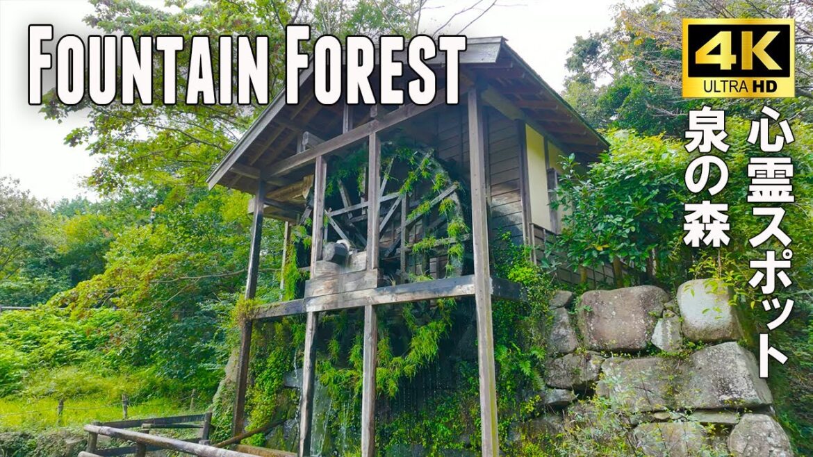 Walking beautiful Fountain Forest. Waterwheel, water park. Yamato, Kanagawa, Japan, 4k