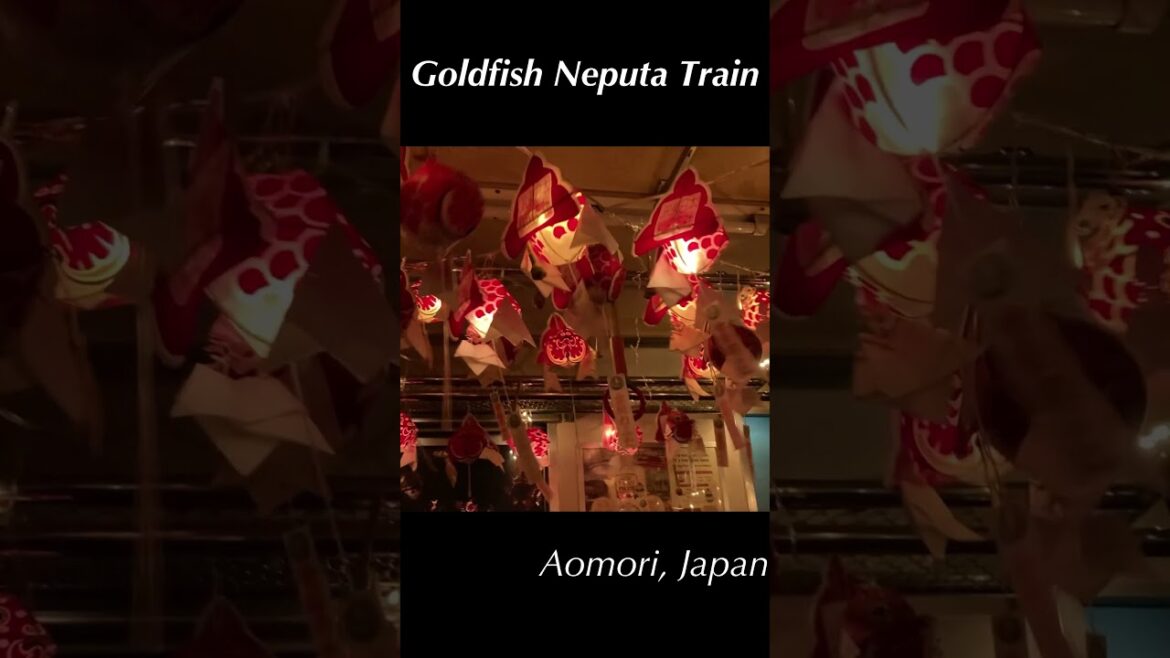 Goldfish  Neputa Train in Aomori, Japan #shorts