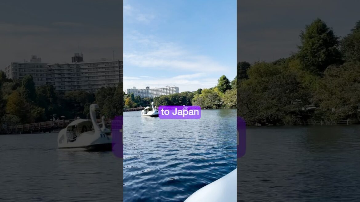 Break Up With Your Partner in Japan #japan #japantravel