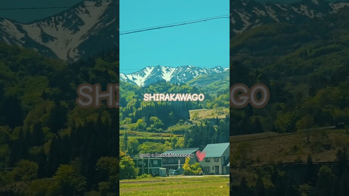Nagoya to Shirakawago via bus #nature #japan #landscape #s23ultra Nagoya to Shirakawago via bus #nature #japan #landscape #s23ultra