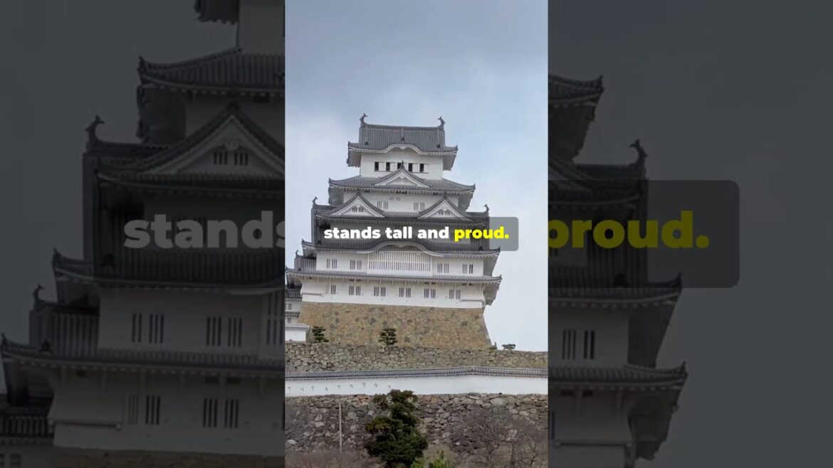 Okayama: Gardens and Castles 🏯🌿 #adventureawaits#motivation #facts #travel Okayama: Gardens and Castles 🏯🌿 #adventureawaits#motivation #facts #travel