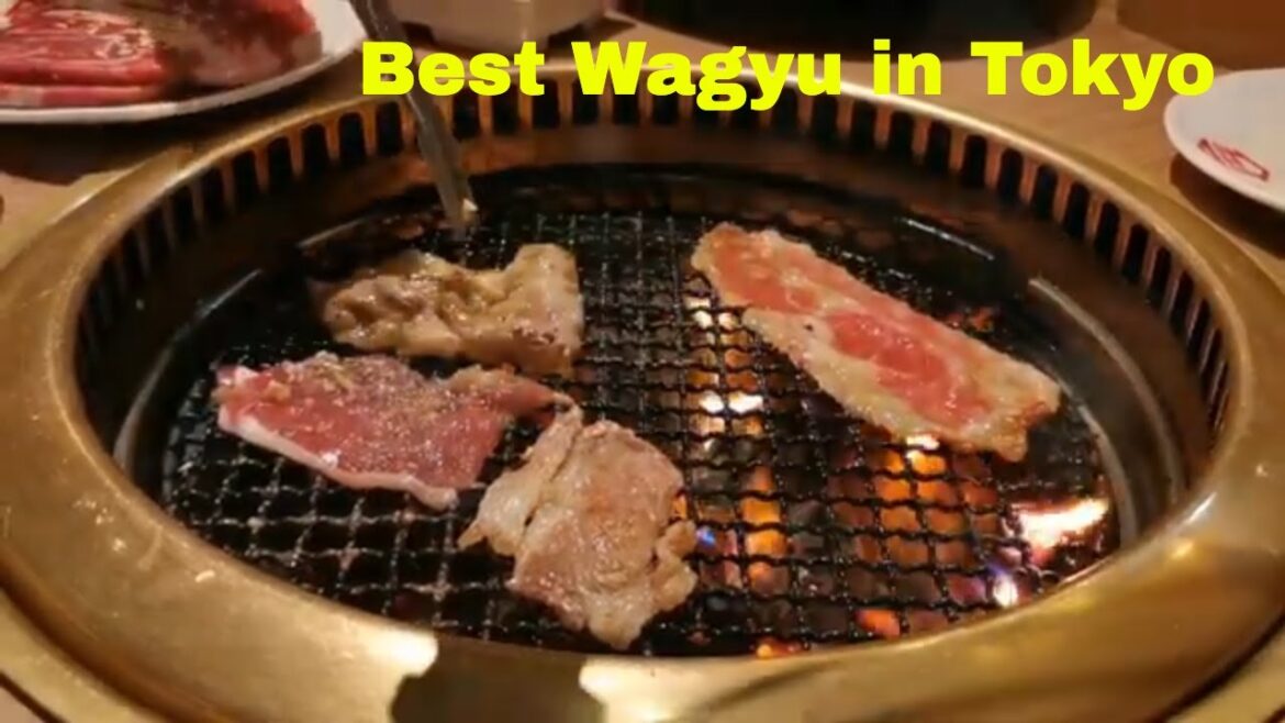 EP #59 Full Length The Top 6 Wagyu Restaurants in Tokyo Where Am I 2024 Best Wagyu Restaurant Tokyo EP #59 Full Length The Top 6 Wagyu Restaurants in Tokyo Where Am I 2024 Best Wagyu Restaurant Tokyo