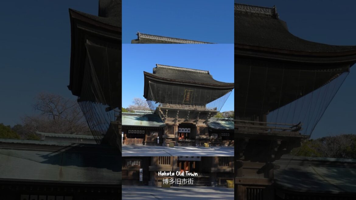 You NEED To go to Fukuoka! Hakata Old Town