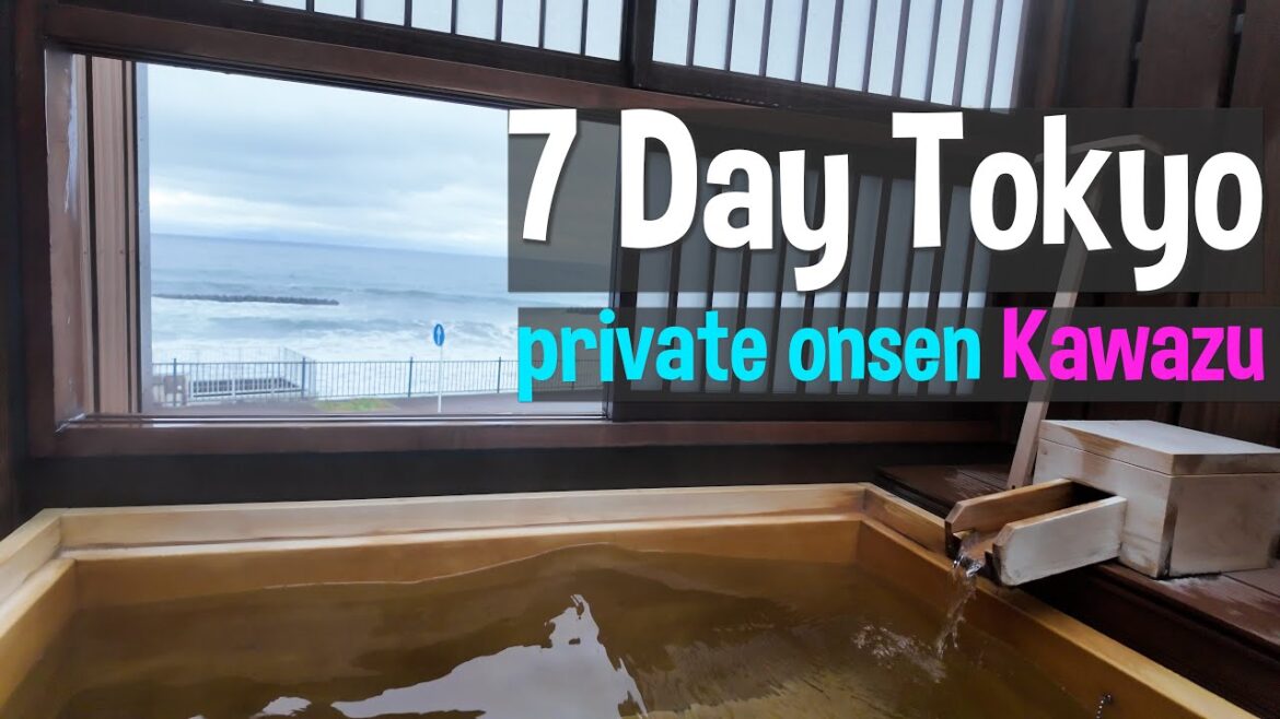 Tokyo + Yokohama / Kawazu Sakura Onsen hot Spring Tokyo + Yokohama / Kawazu Sakura Onsen hot Spring