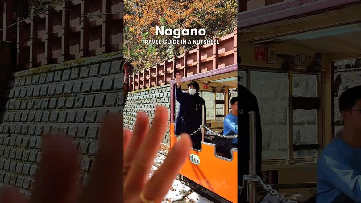 Nagano travel guide for your Japan autumn trip 🍁 #nagano #japan #japantravel #japantrip #japantips
