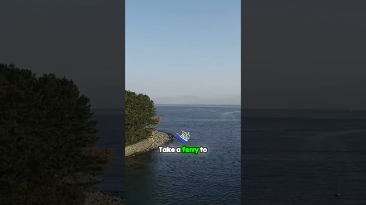 Explore Hiroshima: A Journey Through Peace and Resilience! #japan #youtubeshorts #travel Explore Hiroshima: A Journey Through Peace and Resilience! #japan #youtubeshorts #travel