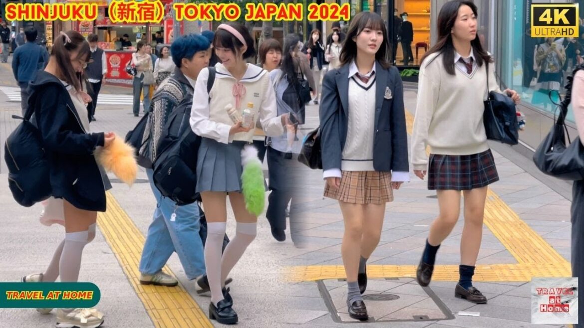 4k hdr japan travel 2024 | Walk in Shinjuku(新宿)Tokyo Japan | Relaxing Natural City ambience 4k hdr japan travel 2024 | Walk in Shinjuku(新宿)Tokyo Japan | Relaxing Natural City ambience