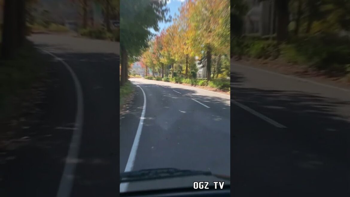 #roadtrip muna tayo sa #chiba #japan