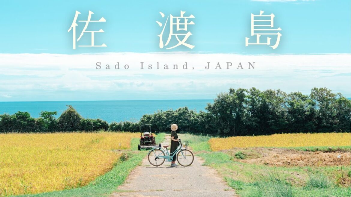 【1泊2日】古き良き日本の夏を探しに、佐渡島を旅する