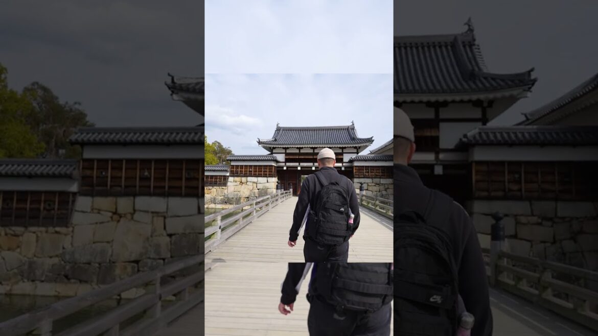 Hiroshima Castle is Unbelievable!