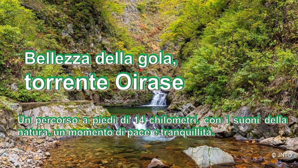 Viaggio in Giappone “Oirase Keiryu” (ad Aomori)