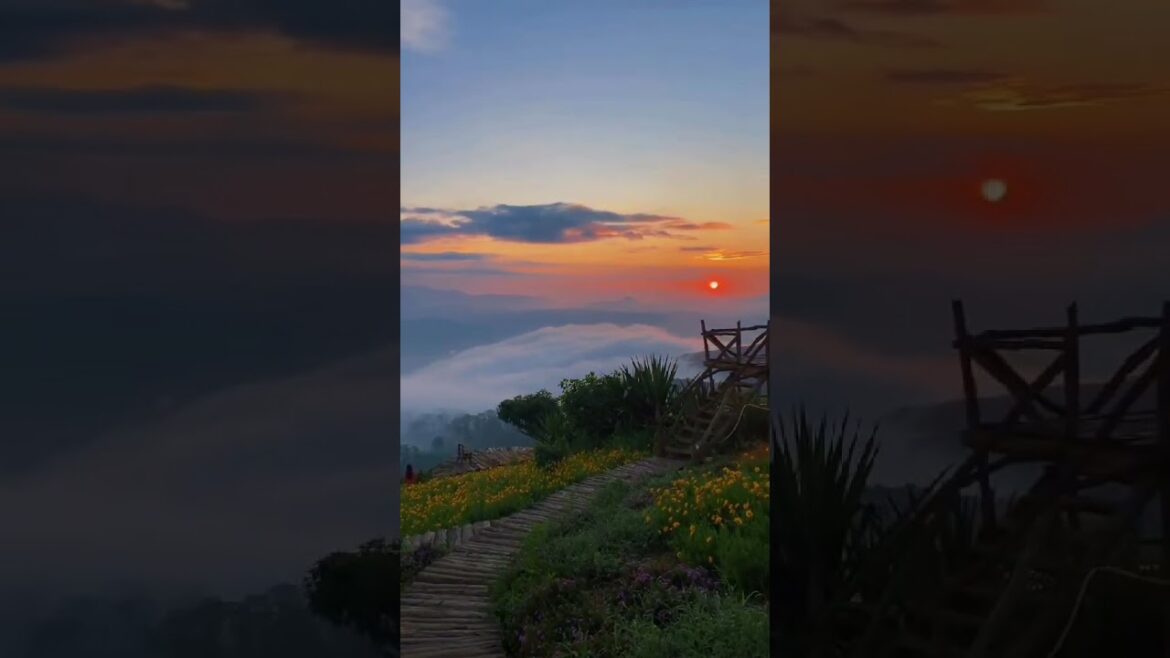 Dalat’s Flower Park Is Heaven On Earth Dalat's Flower Park Is Heaven On Earth