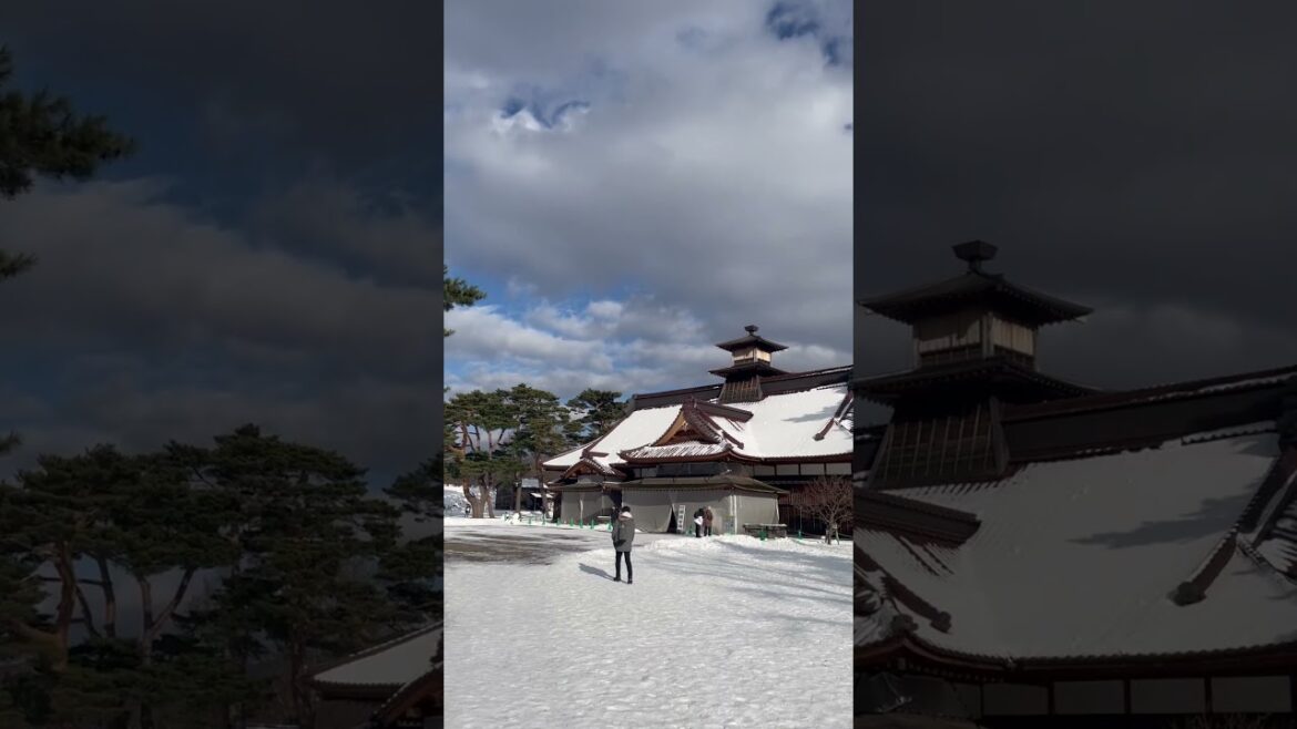 Hakodate Goryokaku Park, Hokkaido Japan #hakodate #hokkaido #japan