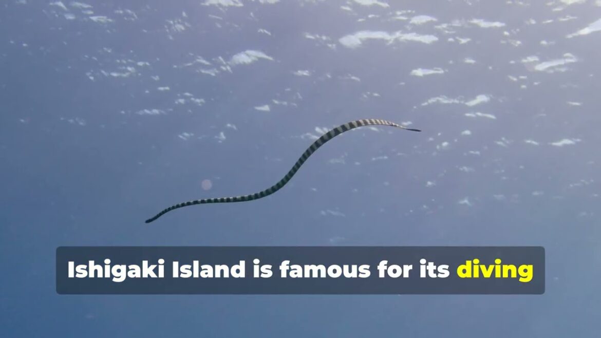 Discover Japan's Most Beautiful Places#shortvideo #japan