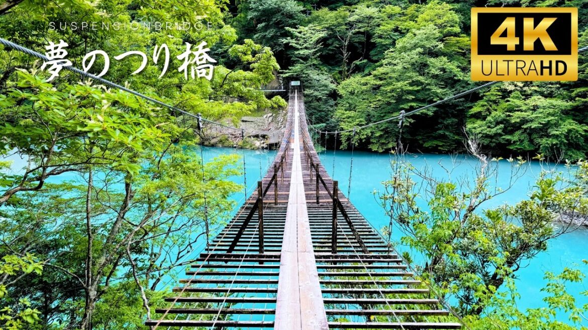The Famous Shizuoka Suspension Bridge you must cross before you die – Yume no Tsuribashi The Famous Shizuoka Suspension Bridge you must cross before you die - Yume no Tsuribashi
