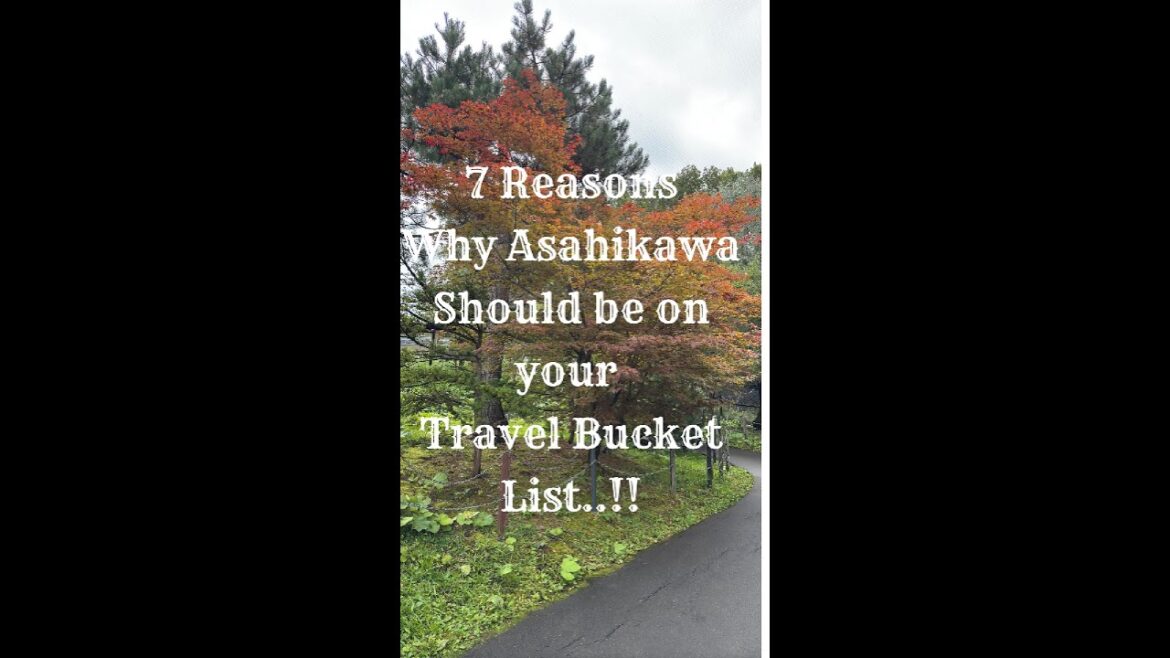 7 Reasons Why Asahikawa Should Be on Your Travel Bucket List! 🌸🐧 | Hidden Gems of Hokkaido..!!