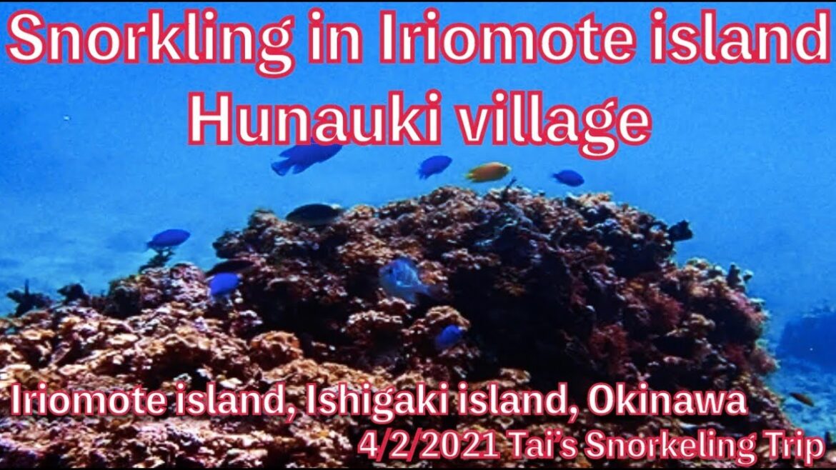 【#16 Tai’s Snorkeling Trip】Snorkeling in Hunauki, Iriomote island, Okinawa, Japan
