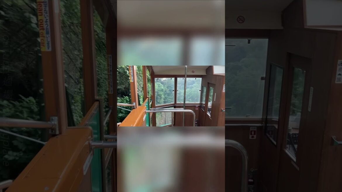 日本神戶六甲山纜車上山沿途景色 7  #travel