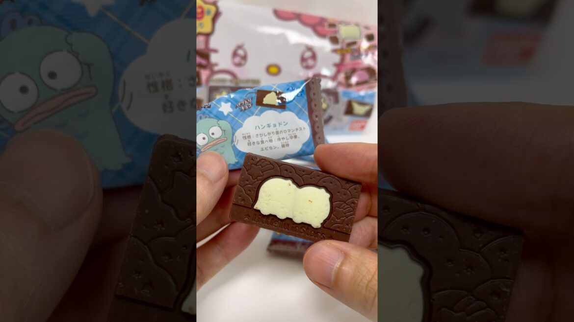 Sanrio Characters Charapaki Chocolate Little Twin Stars #shorts