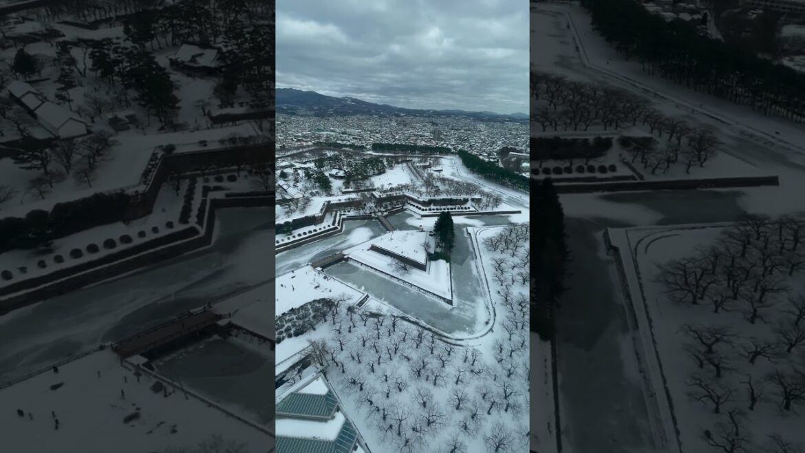 View from Hakodate Goryokaku Tower, Hokkaido Japan #hakodate #hokkaido #japan