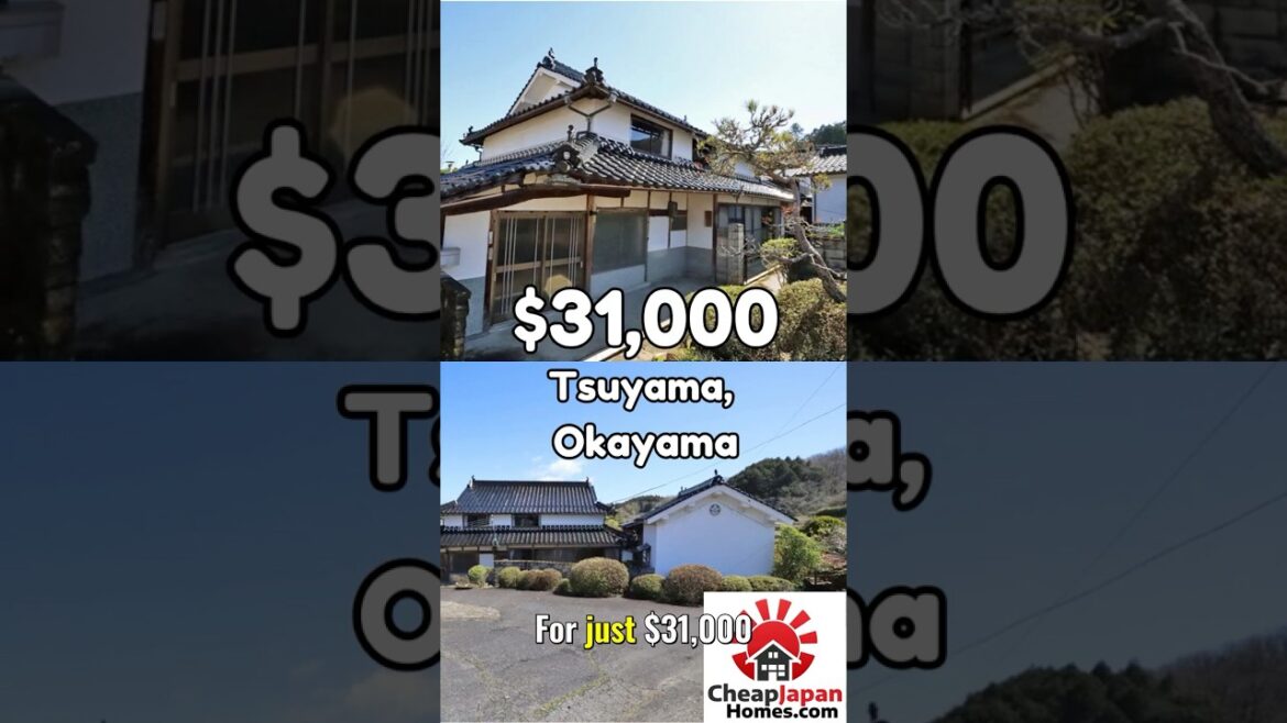 Unlock Your Japanese Dream Home for Only $31K 🎌! 🏡